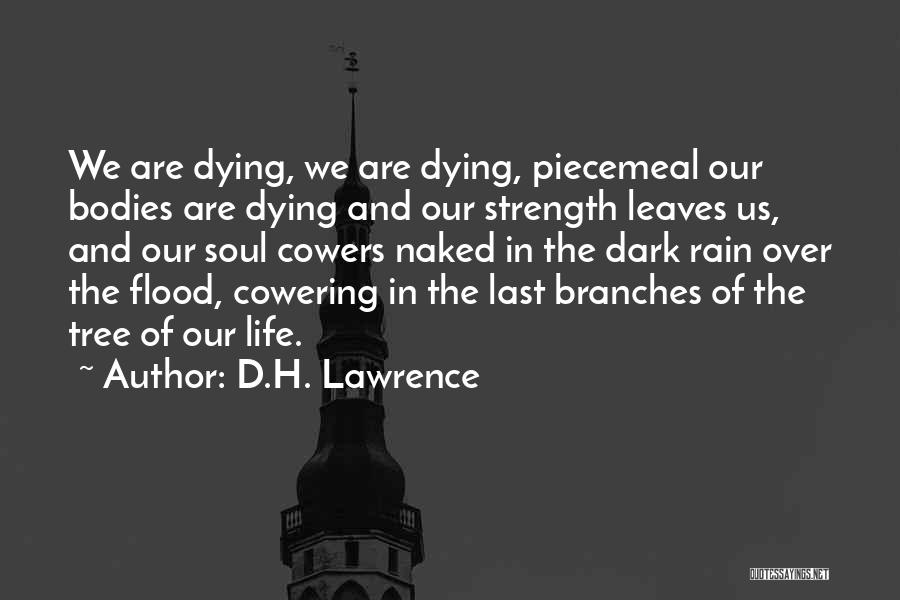 D.H. Lawrence Quotes: We Are Dying, We Are Dying, Piecemeal Our Bodies Are Dying And Our Strength Leaves Us, And Our Soul Cowers