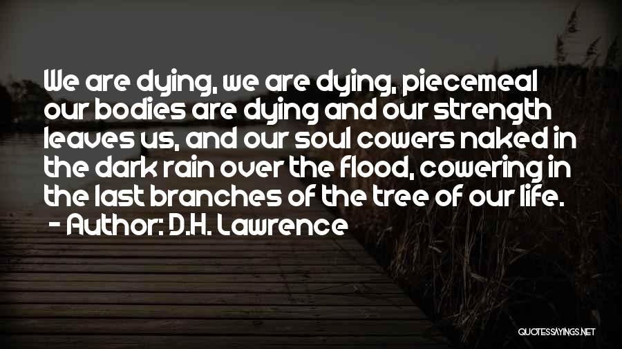 D.H. Lawrence Quotes: We Are Dying, We Are Dying, Piecemeal Our Bodies Are Dying And Our Strength Leaves Us, And Our Soul Cowers