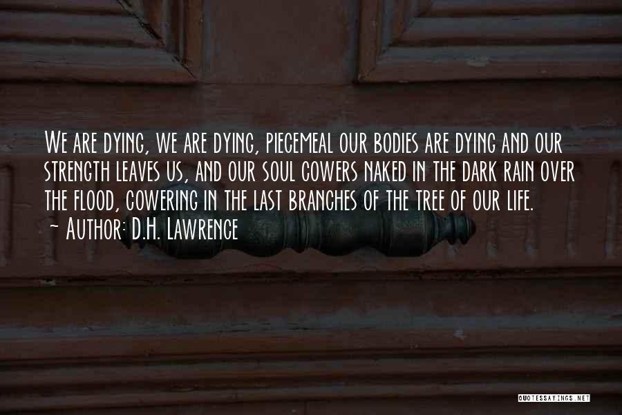 D.H. Lawrence Quotes: We Are Dying, We Are Dying, Piecemeal Our Bodies Are Dying And Our Strength Leaves Us, And Our Soul Cowers