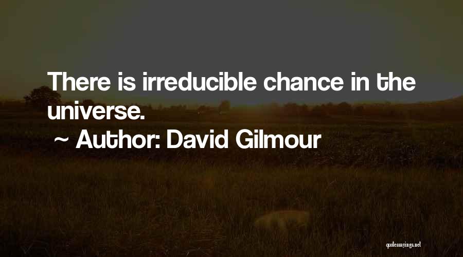 David Gilmour Quotes: There Is Irreducible Chance In The Universe.