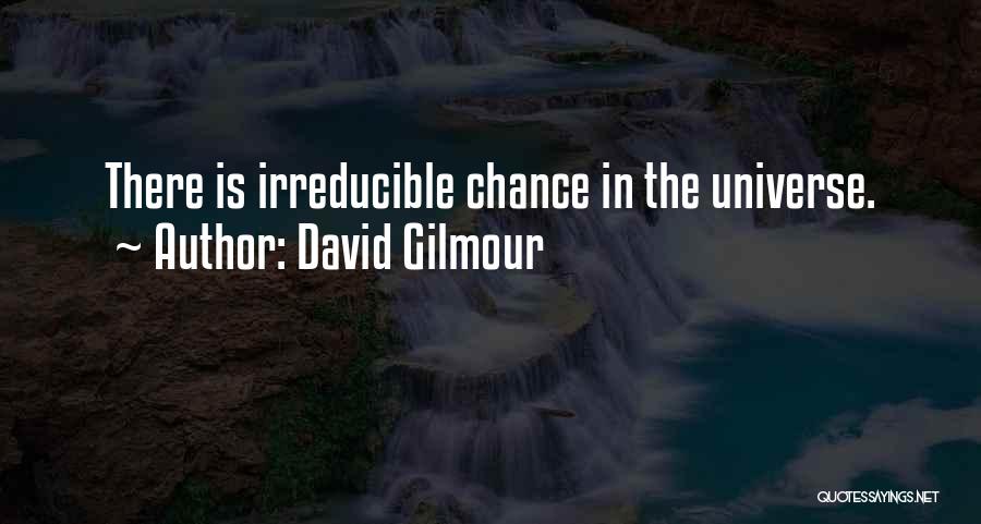 David Gilmour Quotes: There Is Irreducible Chance In The Universe.