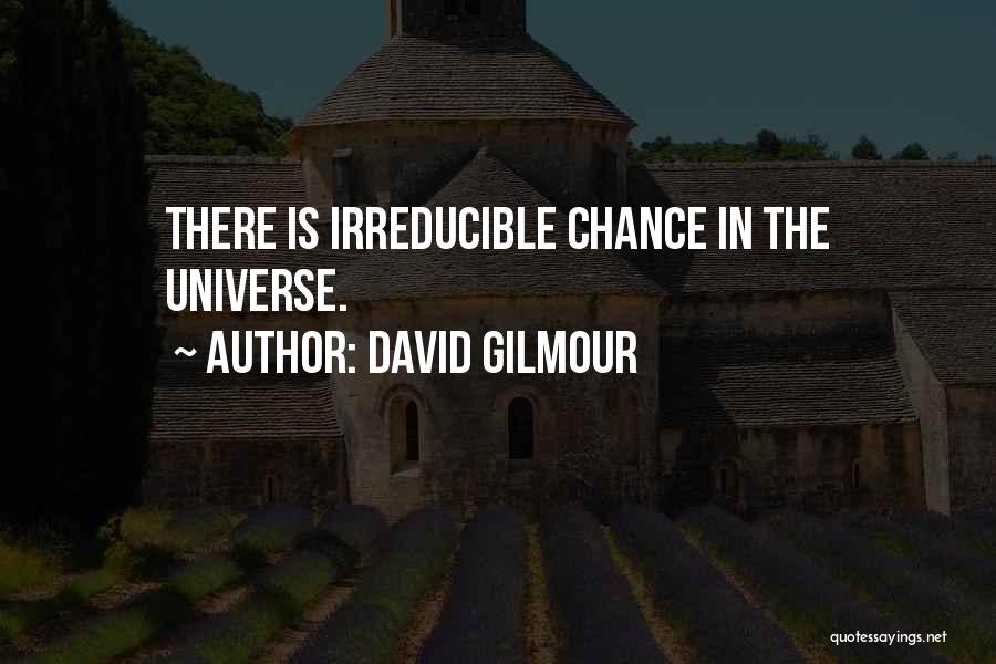 David Gilmour Quotes: There Is Irreducible Chance In The Universe.