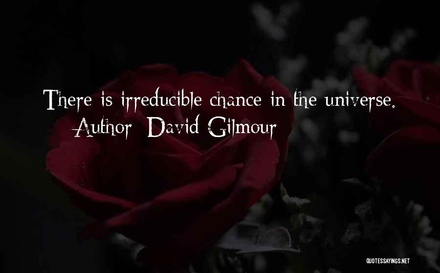 David Gilmour Quotes: There Is Irreducible Chance In The Universe.