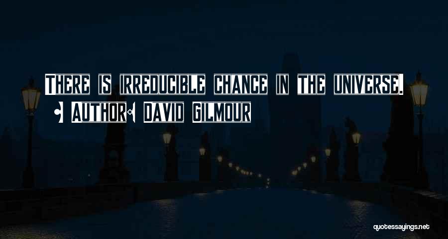 David Gilmour Quotes: There Is Irreducible Chance In The Universe.