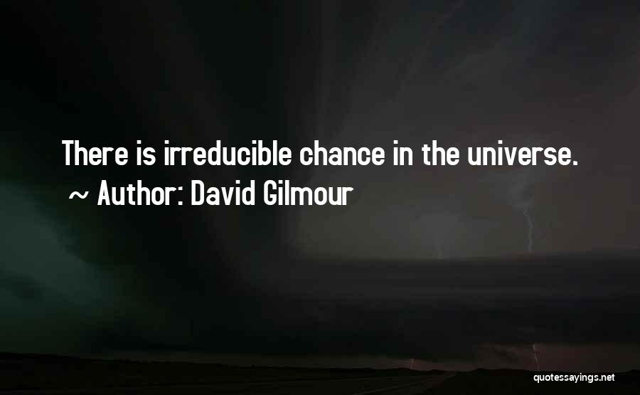 David Gilmour Quotes: There Is Irreducible Chance In The Universe.