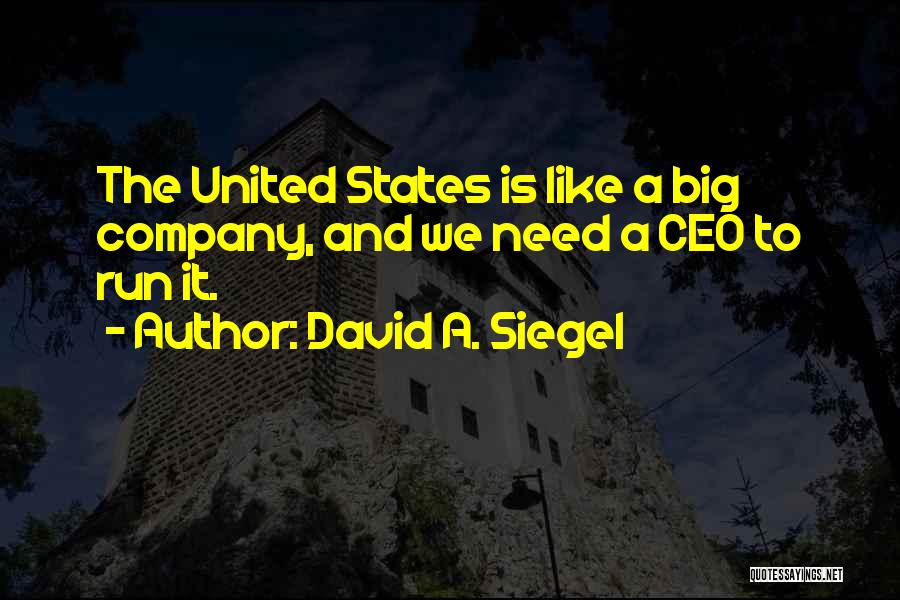 David A. Siegel Quotes: The United States Is Like A Big Company, And We Need A Ceo To Run It.