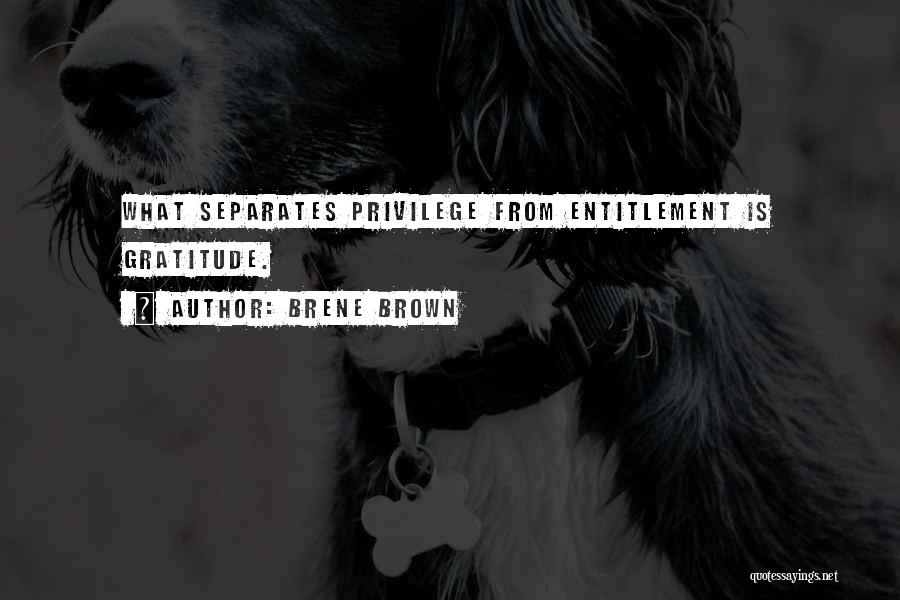 Brene Brown Quotes: What Separates Privilege From Entitlement Is Gratitude.