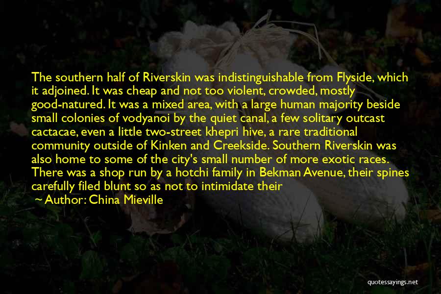 China Mieville Quotes: The Southern Half Of Riverskin Was Indistinguishable From Flyside, Which It Adjoined. It Was Cheap And Not Too Violent, Crowded,