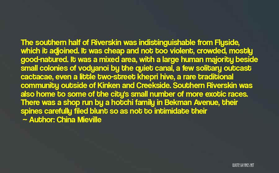 China Mieville Quotes: The Southern Half Of Riverskin Was Indistinguishable From Flyside, Which It Adjoined. It Was Cheap And Not Too Violent, Crowded,