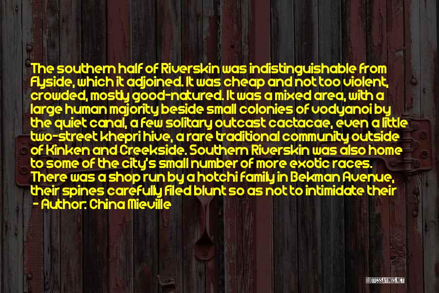 China Mieville Quotes: The Southern Half Of Riverskin Was Indistinguishable From Flyside, Which It Adjoined. It Was Cheap And Not Too Violent, Crowded,