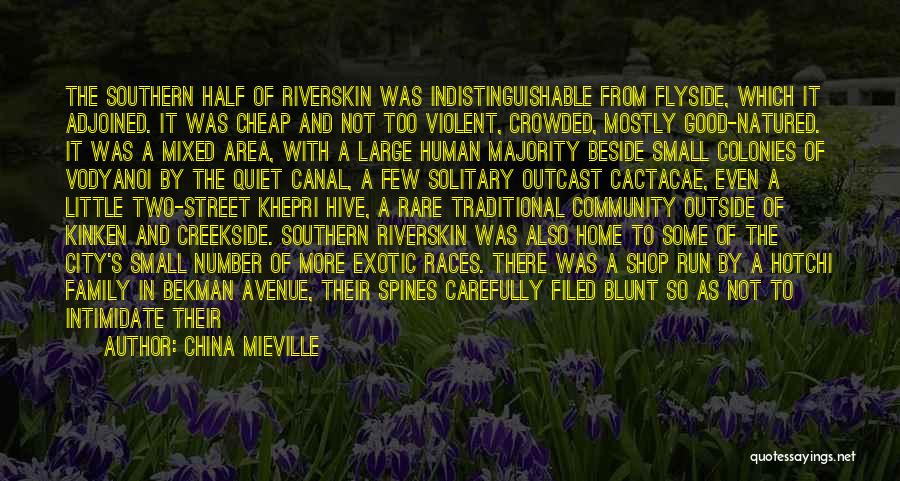 China Mieville Quotes: The Southern Half Of Riverskin Was Indistinguishable From Flyside, Which It Adjoined. It Was Cheap And Not Too Violent, Crowded,