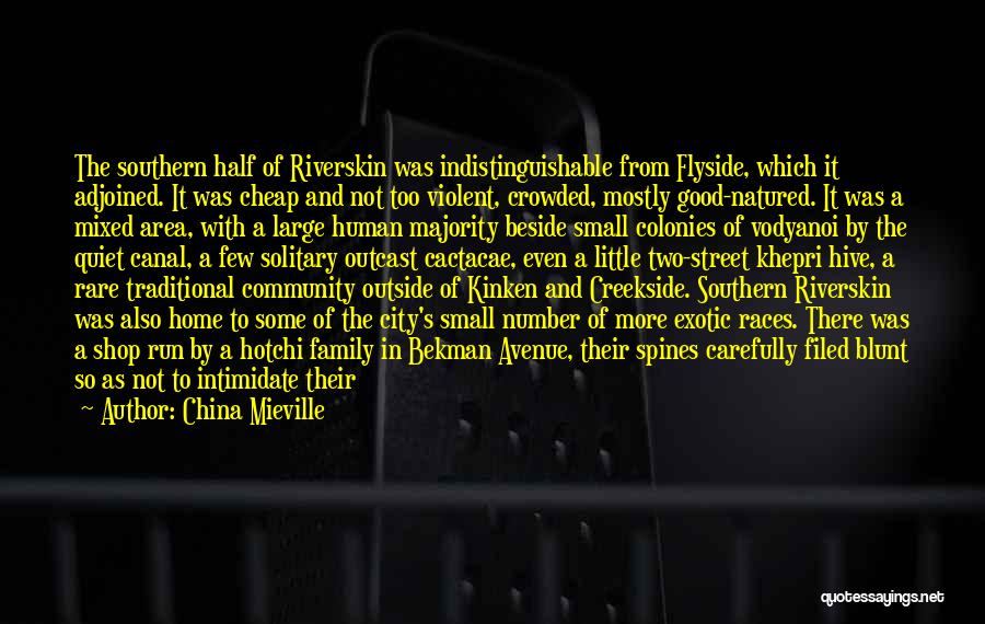 China Mieville Quotes: The Southern Half Of Riverskin Was Indistinguishable From Flyside, Which It Adjoined. It Was Cheap And Not Too Violent, Crowded,