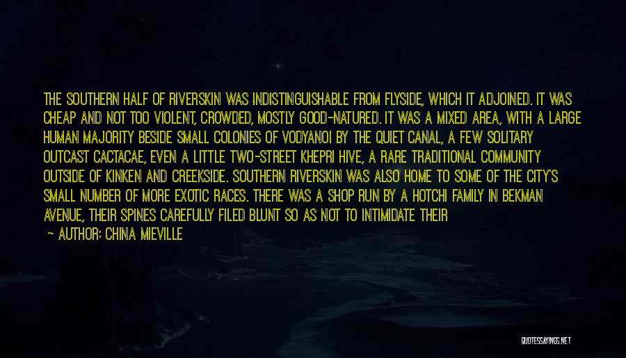 China Mieville Quotes: The Southern Half Of Riverskin Was Indistinguishable From Flyside, Which It Adjoined. It Was Cheap And Not Too Violent, Crowded,