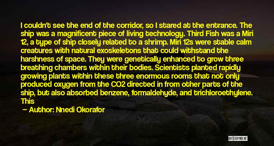 Nnedi Okorafor Quotes: I Couldn't See The End Of The Corridor, So I Stared At The Entrance. The Ship Was A Magnificent Piece