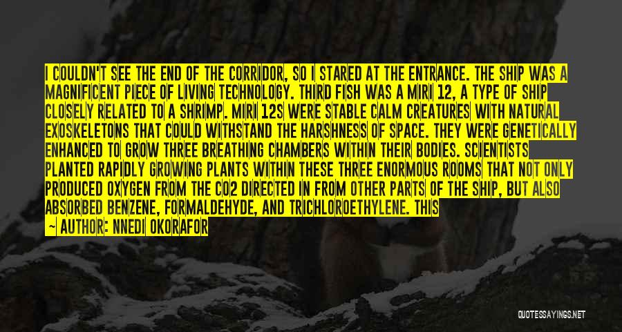 Nnedi Okorafor Quotes: I Couldn't See The End Of The Corridor, So I Stared At The Entrance. The Ship Was A Magnificent Piece