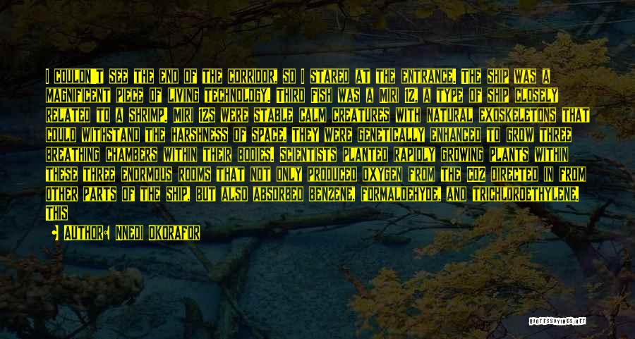 Nnedi Okorafor Quotes: I Couldn't See The End Of The Corridor, So I Stared At The Entrance. The Ship Was A Magnificent Piece