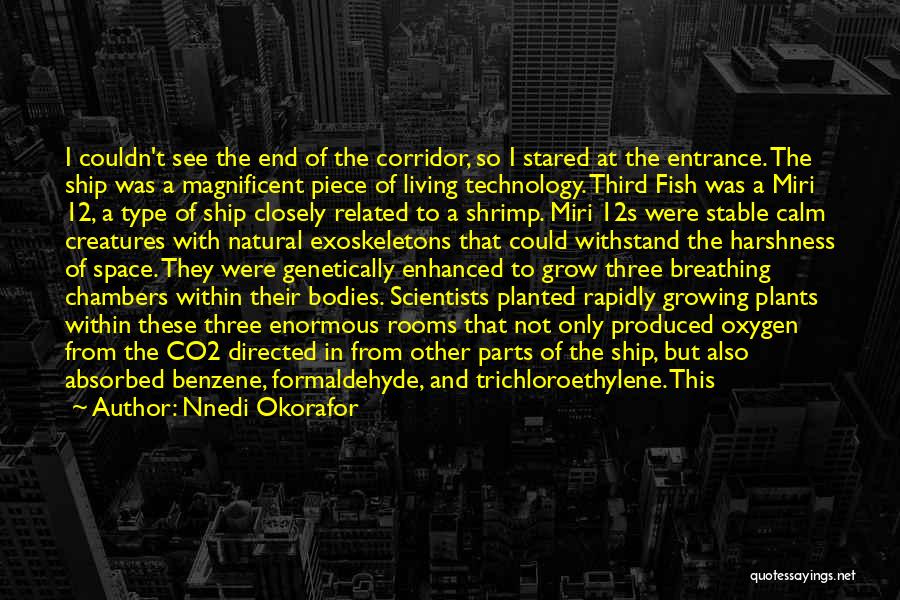 Nnedi Okorafor Quotes: I Couldn't See The End Of The Corridor, So I Stared At The Entrance. The Ship Was A Magnificent Piece