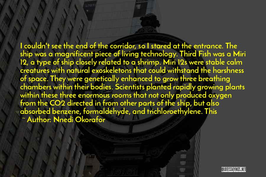 Nnedi Okorafor Quotes: I Couldn't See The End Of The Corridor, So I Stared At The Entrance. The Ship Was A Magnificent Piece
