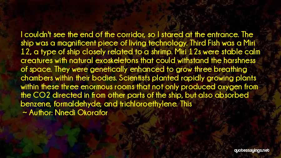 Nnedi Okorafor Quotes: I Couldn't See The End Of The Corridor, So I Stared At The Entrance. The Ship Was A Magnificent Piece
