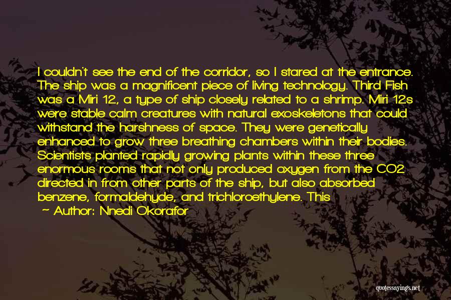 Nnedi Okorafor Quotes: I Couldn't See The End Of The Corridor, So I Stared At The Entrance. The Ship Was A Magnificent Piece