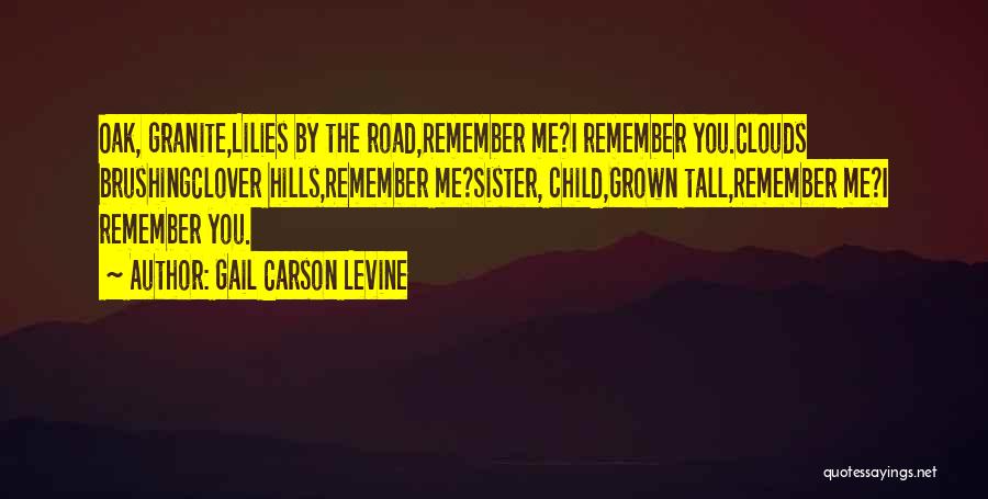 Gail Carson Levine Quotes: Oak, Granite,lilies By The Road,remember Me?i Remember You.clouds Brushingclover Hills,remember Me?sister, Child,grown Tall,remember Me?i Remember You.