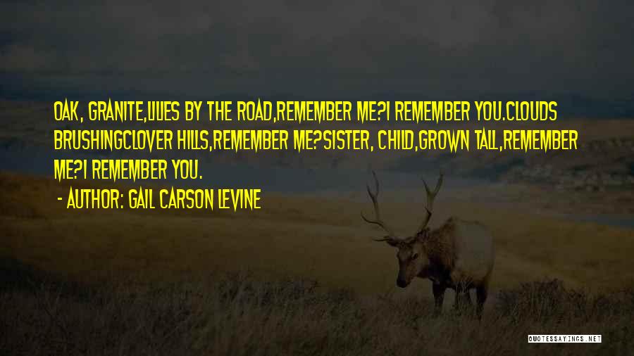 Gail Carson Levine Quotes: Oak, Granite,lilies By The Road,remember Me?i Remember You.clouds Brushingclover Hills,remember Me?sister, Child,grown Tall,remember Me?i Remember You.