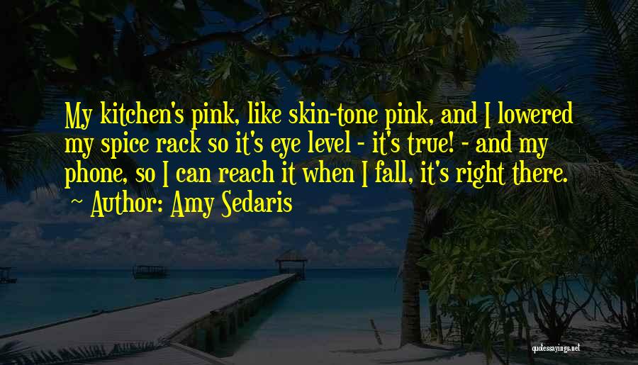 Amy Sedaris Quotes: My Kitchen's Pink, Like Skin-tone Pink, And I Lowered My Spice Rack So It's Eye Level - It's True! -