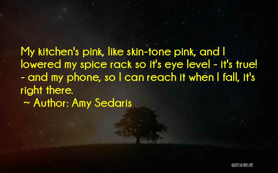 Amy Sedaris Quotes: My Kitchen's Pink, Like Skin-tone Pink, And I Lowered My Spice Rack So It's Eye Level - It's True! -