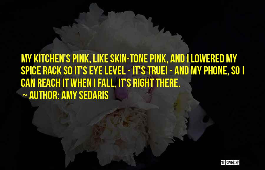 Amy Sedaris Quotes: My Kitchen's Pink, Like Skin-tone Pink, And I Lowered My Spice Rack So It's Eye Level - It's True! -