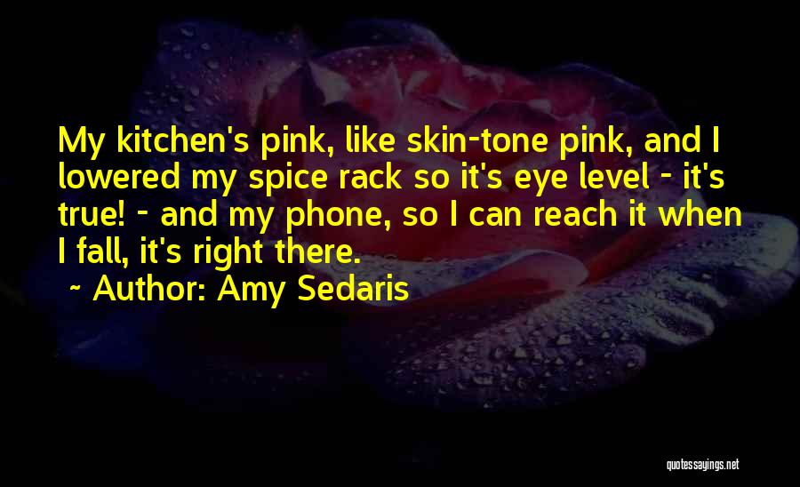 Amy Sedaris Quotes: My Kitchen's Pink, Like Skin-tone Pink, And I Lowered My Spice Rack So It's Eye Level - It's True! -