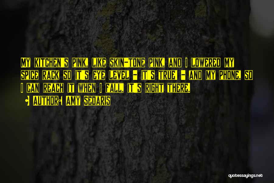 Amy Sedaris Quotes: My Kitchen's Pink, Like Skin-tone Pink, And I Lowered My Spice Rack So It's Eye Level - It's True! -