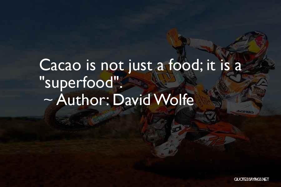 David Wolfe Quotes: Cacao Is Not Just A Food; It Is A Superfood.