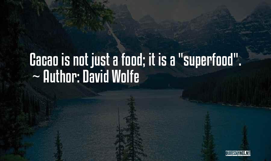 David Wolfe Quotes: Cacao Is Not Just A Food; It Is A Superfood.