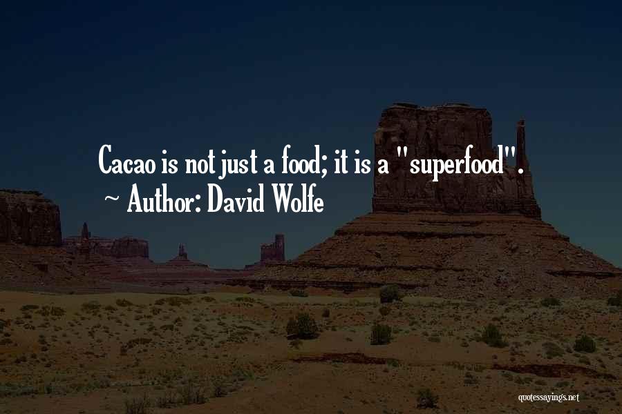 David Wolfe Quotes: Cacao Is Not Just A Food; It Is A Superfood.