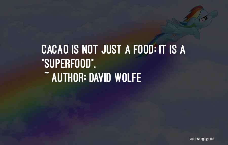 David Wolfe Quotes: Cacao Is Not Just A Food; It Is A Superfood.