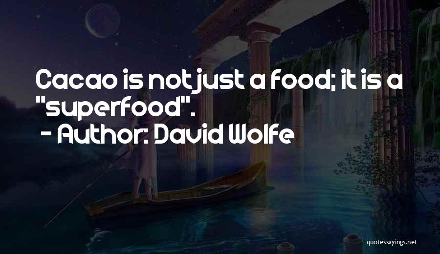 David Wolfe Quotes: Cacao Is Not Just A Food; It Is A Superfood.