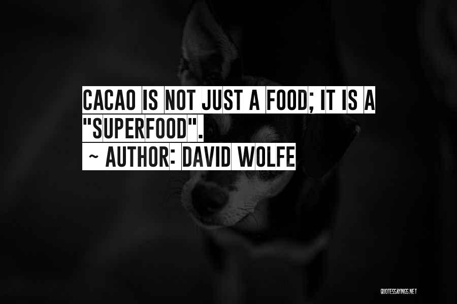 David Wolfe Quotes: Cacao Is Not Just A Food; It Is A Superfood.