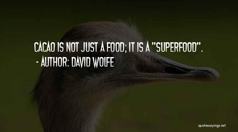 David Wolfe Quotes: Cacao Is Not Just A Food; It Is A Superfood.