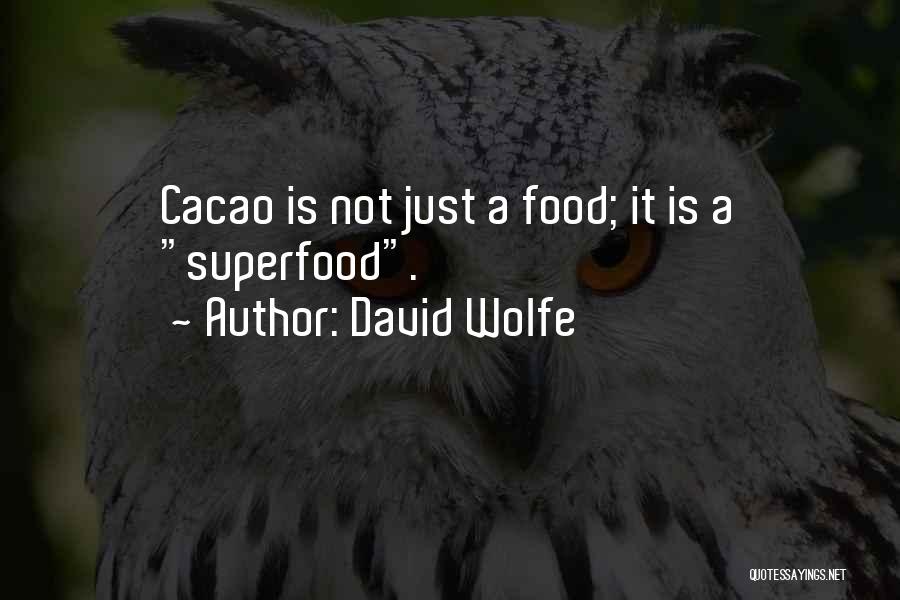 David Wolfe Quotes: Cacao Is Not Just A Food; It Is A Superfood.