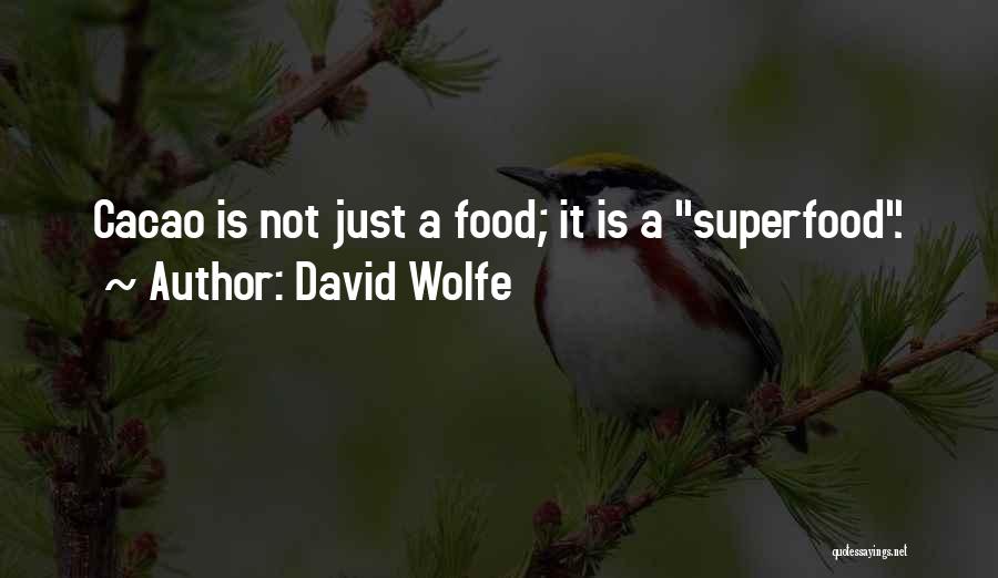 David Wolfe Quotes: Cacao Is Not Just A Food; It Is A Superfood.