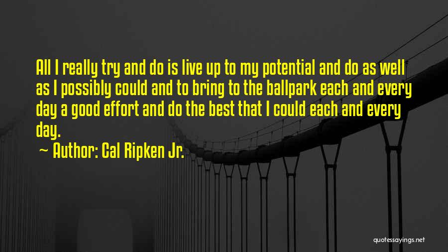 Cal Ripken Jr. Quotes: All I Really Try And Do Is Live Up To My Potential And Do As Well As I Possibly Could