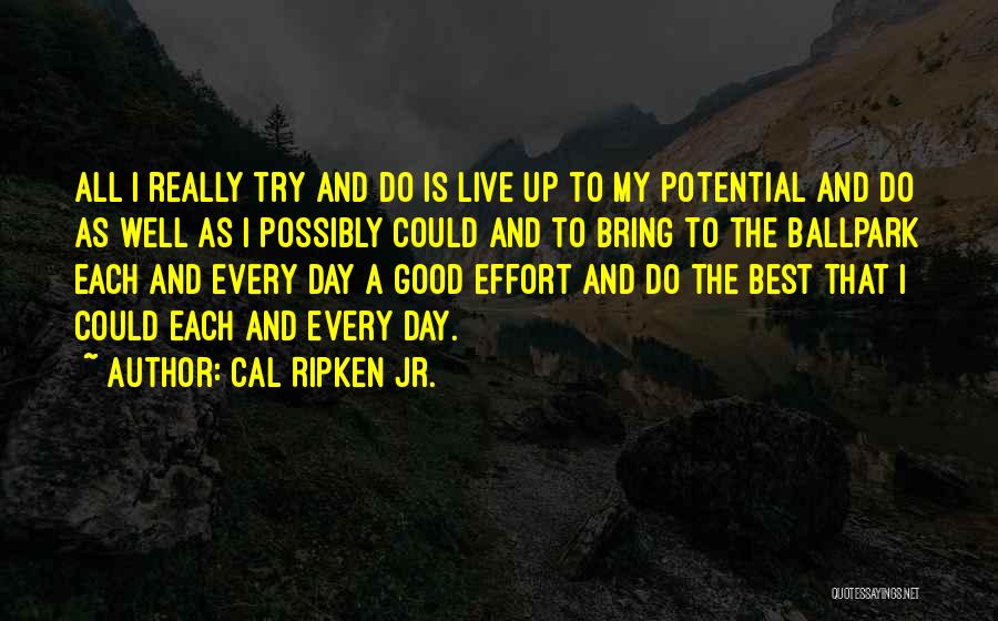 Cal Ripken Jr. Quotes: All I Really Try And Do Is Live Up To My Potential And Do As Well As I Possibly Could