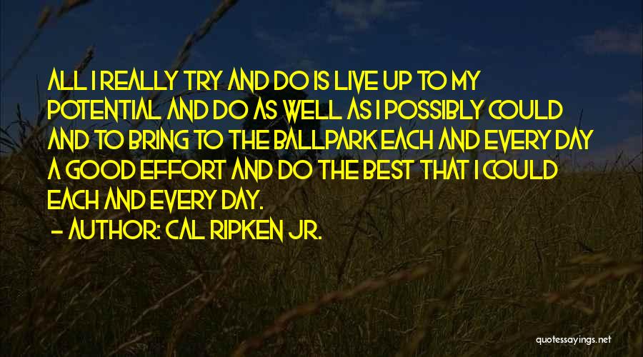Cal Ripken Jr. Quotes: All I Really Try And Do Is Live Up To My Potential And Do As Well As I Possibly Could
