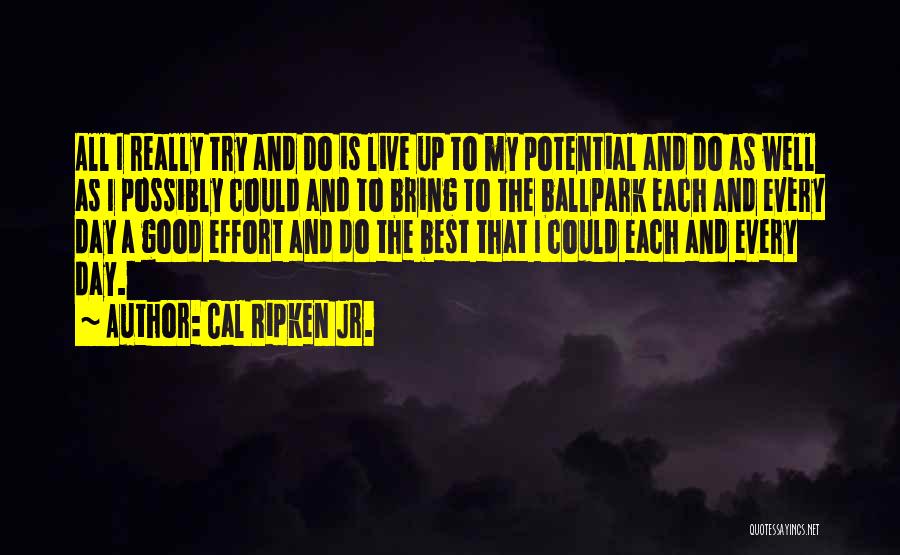 Cal Ripken Jr. Quotes: All I Really Try And Do Is Live Up To My Potential And Do As Well As I Possibly Could