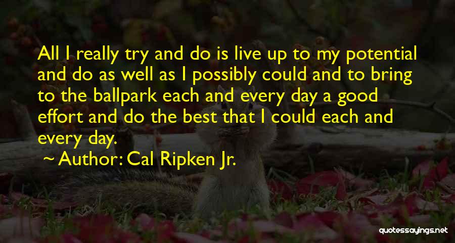 Cal Ripken Jr. Quotes: All I Really Try And Do Is Live Up To My Potential And Do As Well As I Possibly Could