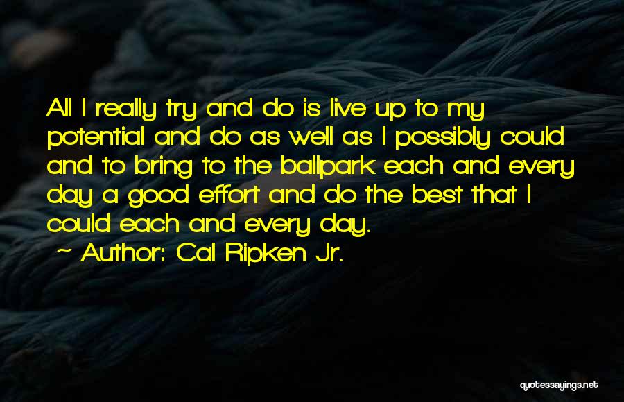 Cal Ripken Jr. Quotes: All I Really Try And Do Is Live Up To My Potential And Do As Well As I Possibly Could