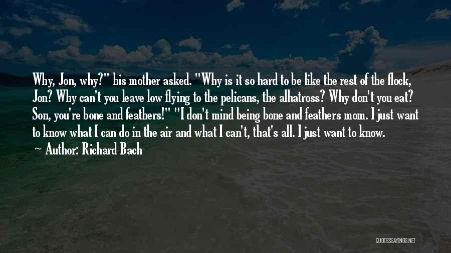 Richard Bach Quotes: Why, Jon, Why? His Mother Asked. Why Is It So Hard To Be Like The Rest Of The Flock, Jon?