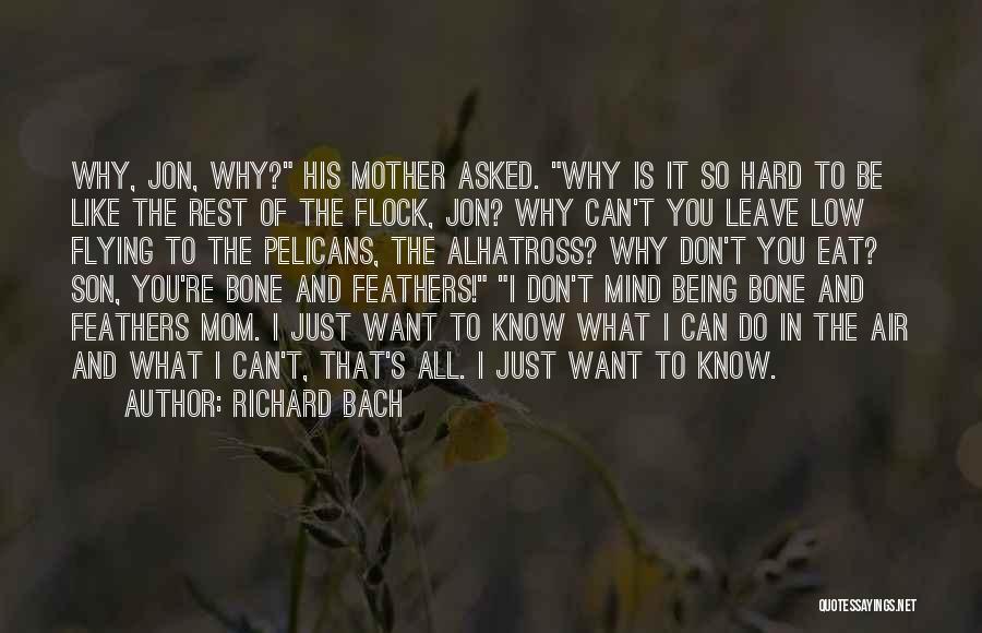 Richard Bach Quotes: Why, Jon, Why? His Mother Asked. Why Is It So Hard To Be Like The Rest Of The Flock, Jon?