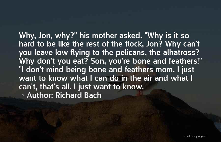 Richard Bach Quotes: Why, Jon, Why? His Mother Asked. Why Is It So Hard To Be Like The Rest Of The Flock, Jon?