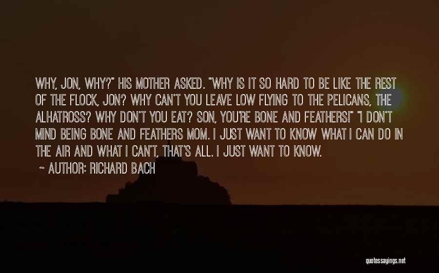 Richard Bach Quotes: Why, Jon, Why? His Mother Asked. Why Is It So Hard To Be Like The Rest Of The Flock, Jon?